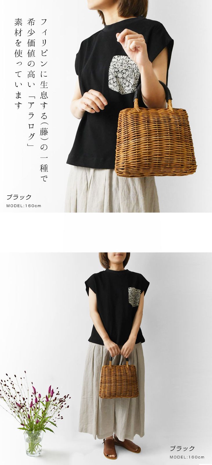 オッズ SHELL