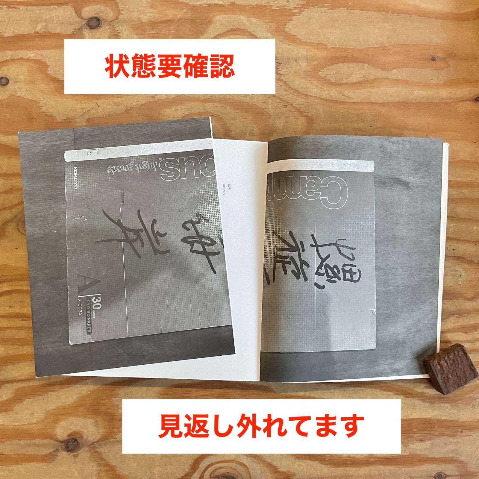 螺旋海岸 志賀理江子 | notebook - ⁄ Lieko album ⁄ 赤々舎 RASEN 