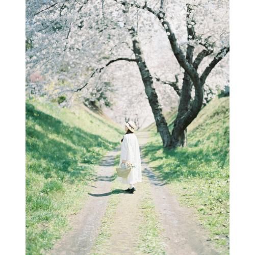 プロフェッショナルポートラ 400