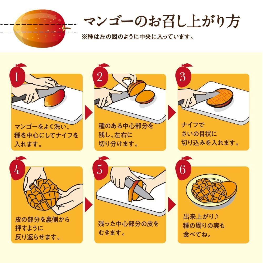 フルーツ 果物