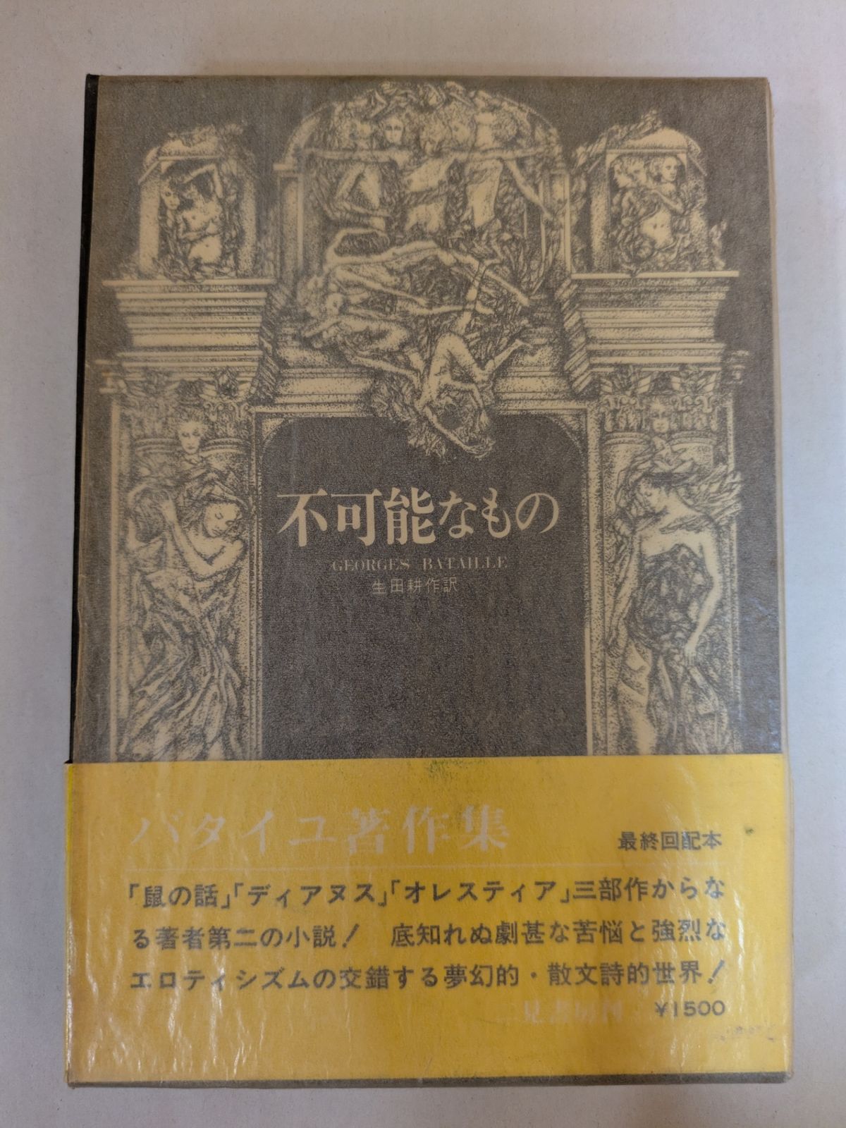 ジョルジュ・バタイユ著作集 Amazon.co.jp: ◇◇『ジョルジュ バタイユ著作集』 全15巻 澁澤