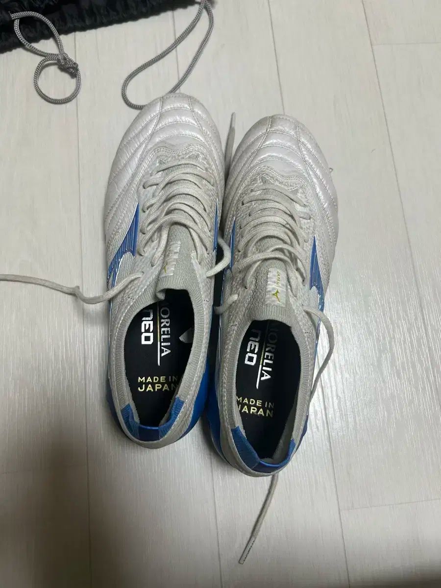 限定・新品未使用】モレリアⅡ リリースパック フェアリー