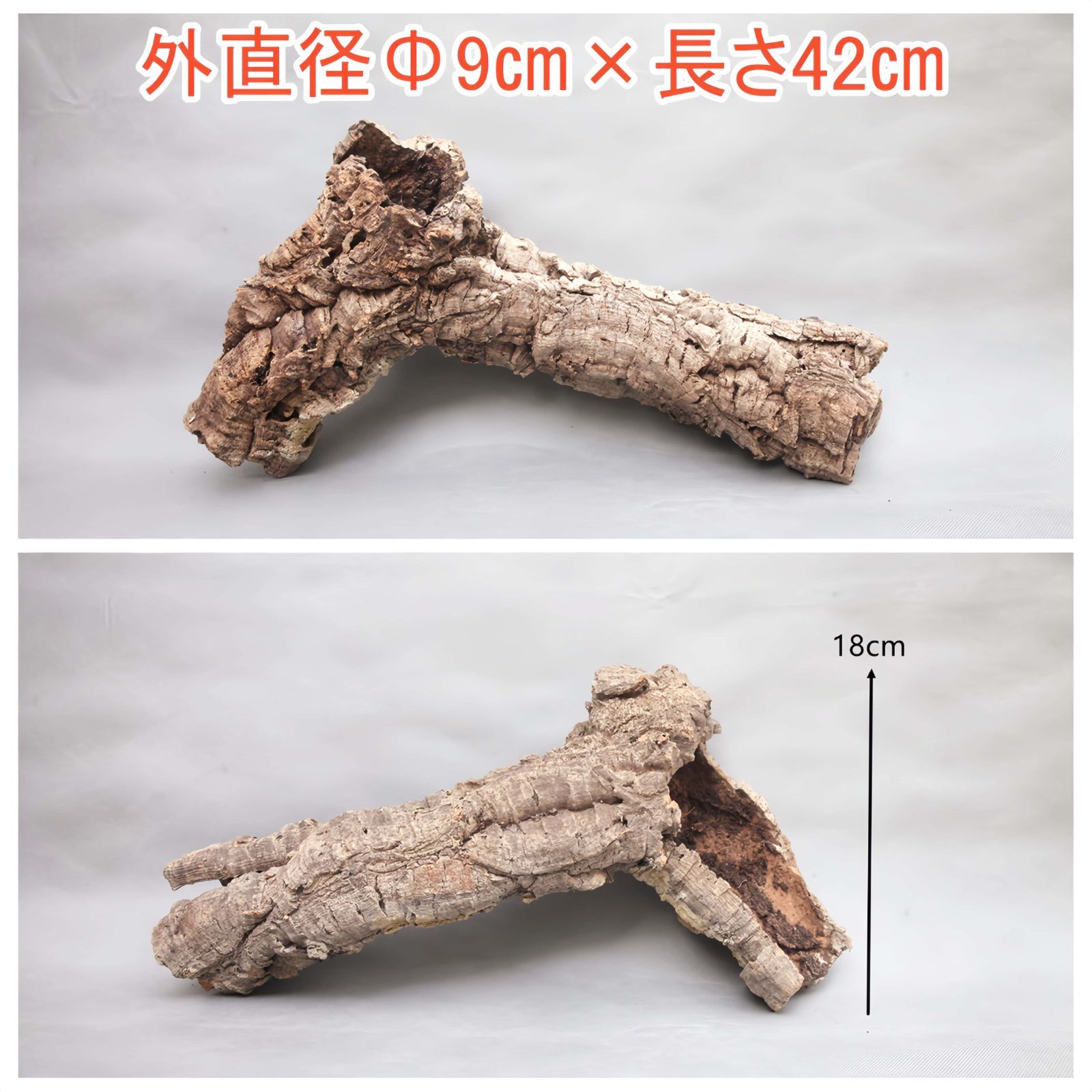 ③【筒コルク】コルク樹皮　テラリウム　着生板　植物　テラリウム ③【筒コルク】コルク樹皮 テラリウム 着生板 植物 テラリウム