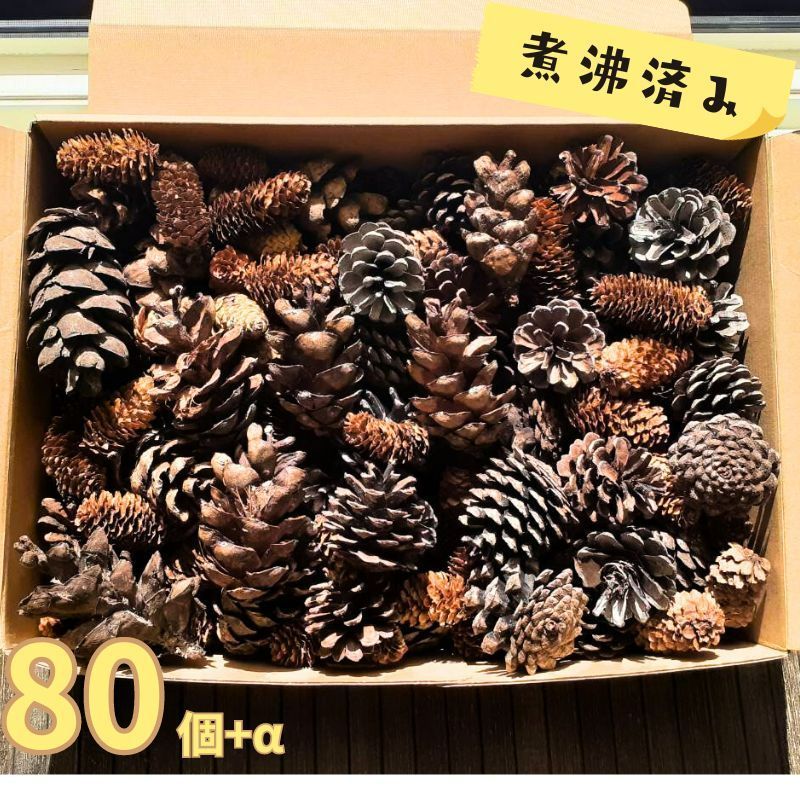 松ぼっくり 詰め合わせ 80個 大きさ 形 いろいろ 煮沸済 ハンドメイド