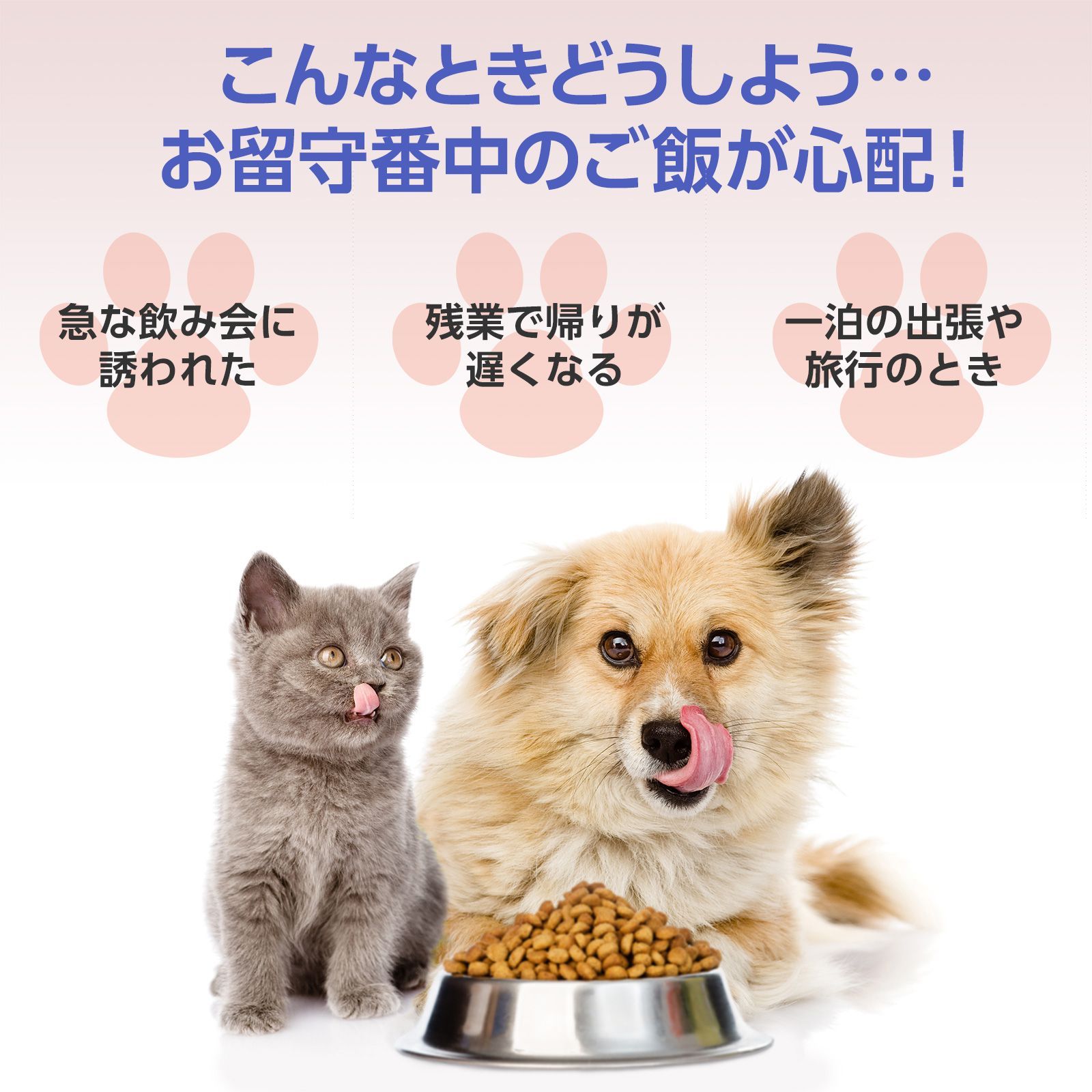  ブリシア 自動給餌器 6 L 猫 大中小型犬用 Wi-Fi接続 ペットフィーダー 大容量6 定時定量 ドライフード 健康管理 エサやり 手動給餌可 録音可 スマホコントロール 留守番 ステンレストレー付き 2 WAY給電 安心の日本 サポート 給餌器 自動給餌器 食器 餌やり 水やり用品