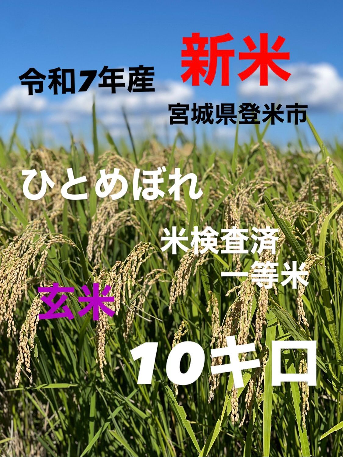 期間 クーポンあり 新米 令和7年産 ひとめぼれ 玄米 一等米 10キロ 宮城県登米市