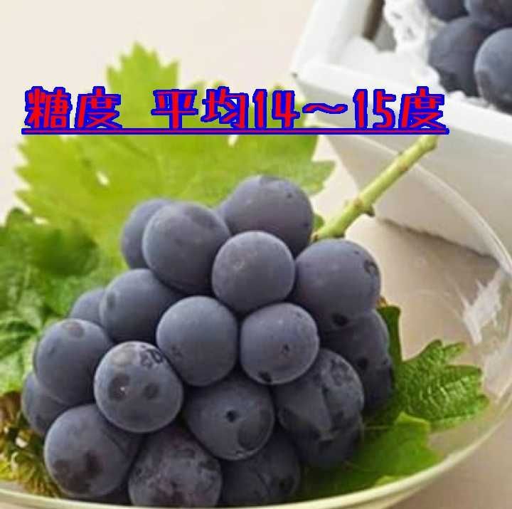 ２品種詰め合せ 御中元