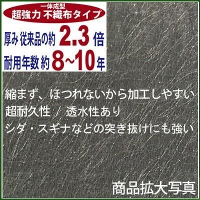 |m2 ポリプロピレン