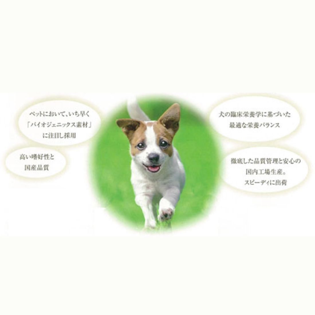 7歳から成犬用
