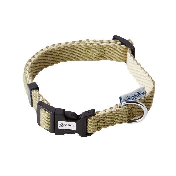 山本陽子全集(第二巻)