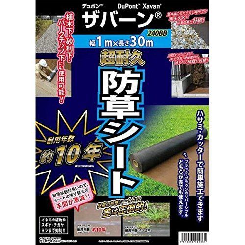 1×30m デュポン