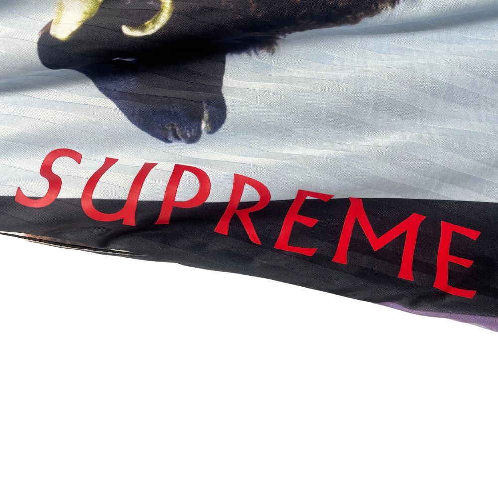 SUPREME シュプリーム 25SS Damien Hirst Soccer Short ダミアン