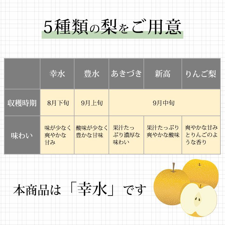 予約 10月上旬出荷予定】秀品 大門梨 低農薬 有機栽培 新高 10kg 富山