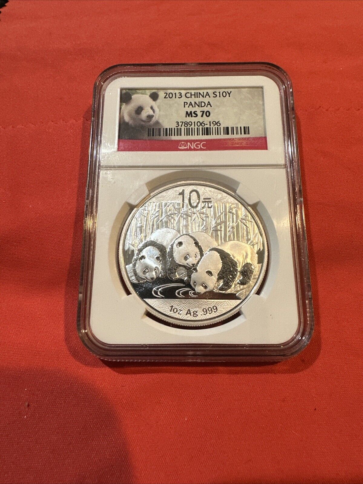 2013 China Silver Panda 10 Yuan Graded NGC MS70 Early Releases Coin