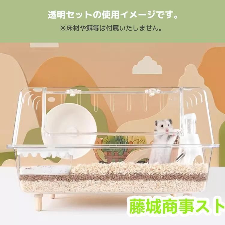 モルモット モモンガ
