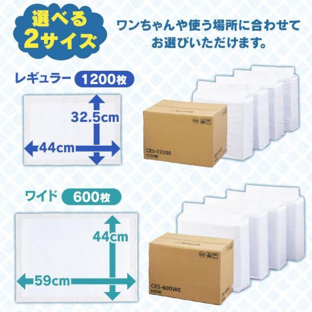 CES-600WE