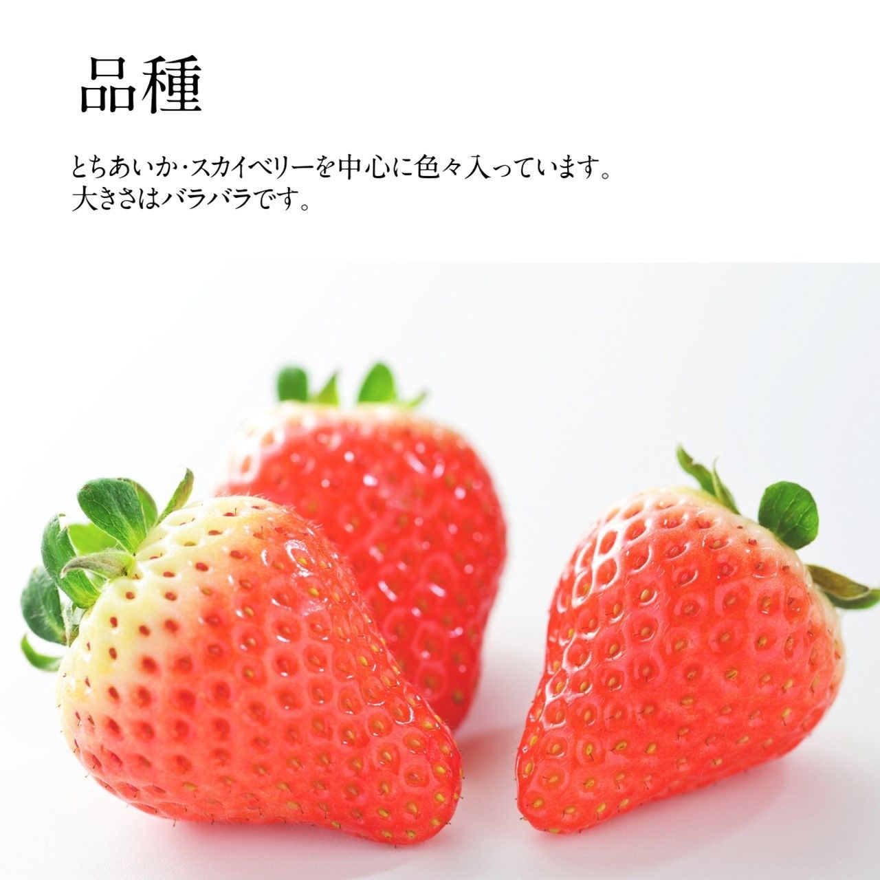 栃木県産 冷凍いちご 10kg 完熟品 業務用 - メルカリ