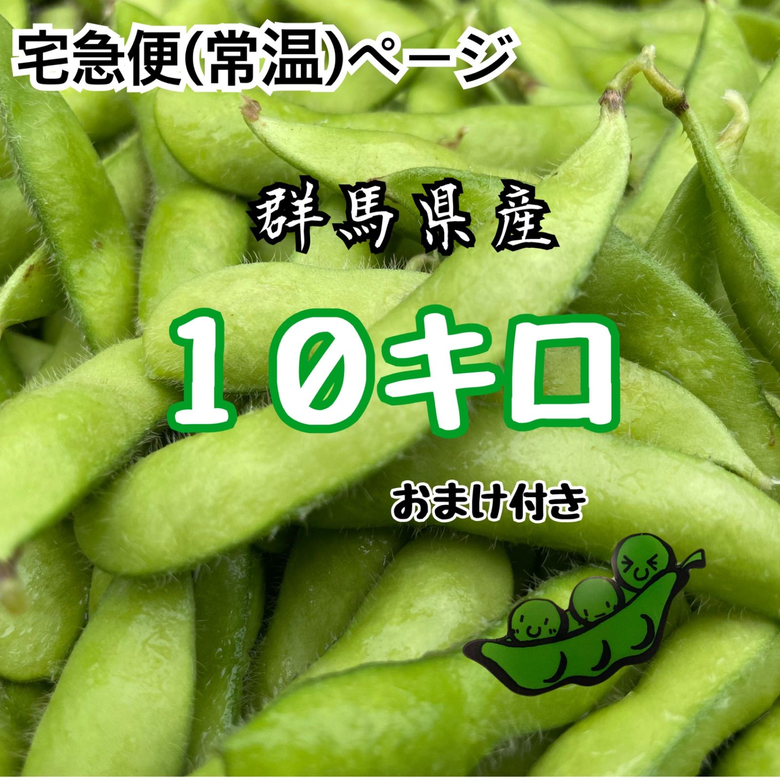 枝豆 豆王 10kg 群馬県産 宅急便 常温 ページ 産地直送