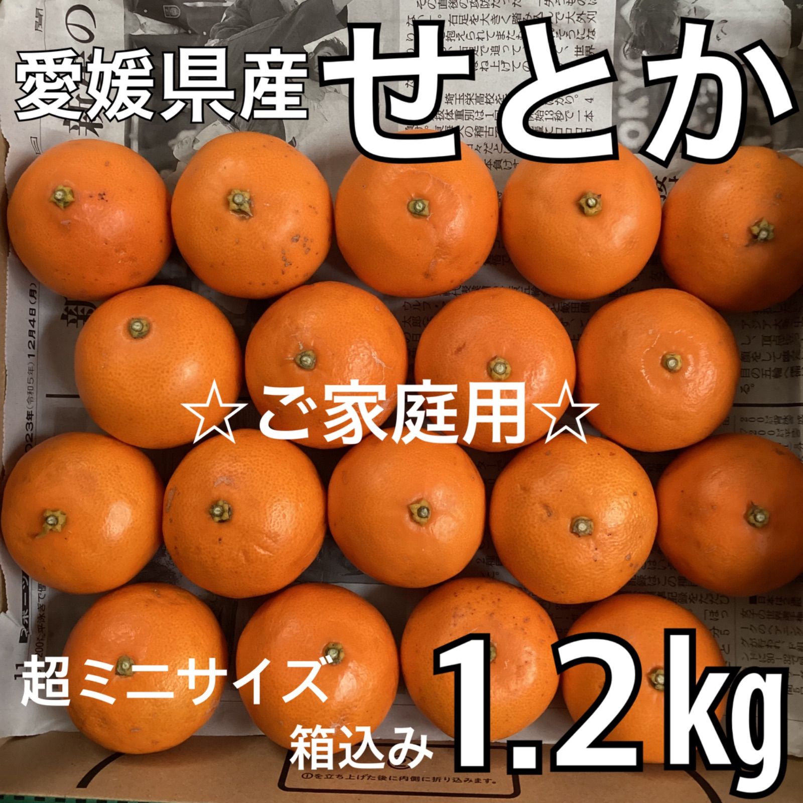 ☆ご家庭用☆ 愛媛県産 せとか 小玉 1.2kg(18個) コンパクトボックス