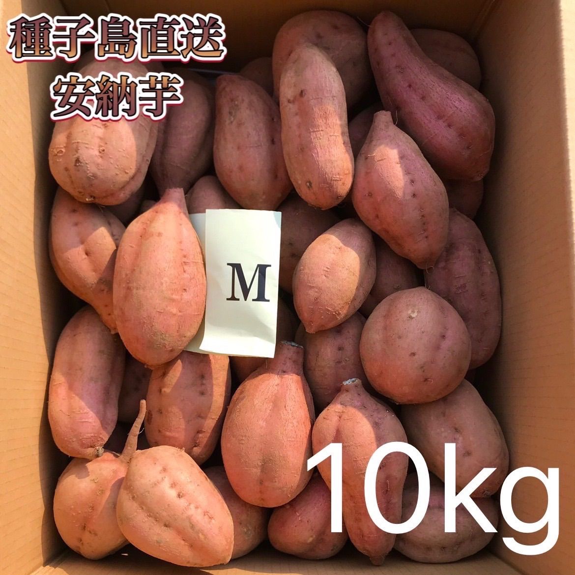 安納芋M　絶品】種子島産　10kg(箱別)-