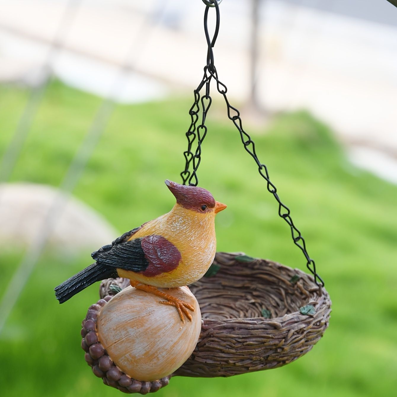 ペット食器 野鳥観察