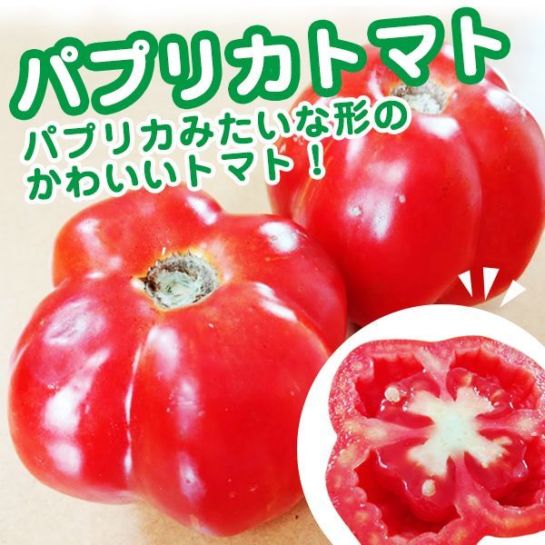 珍しい～！】パプリカトマトの種10粒～一体どっち？～ - メルカリ