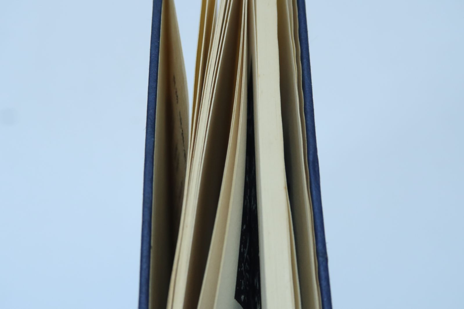 日下部鳴鶴の本2冊/鳴鶴論書三十首 ・鳴鶴作品草稿集2・周代金文の研究