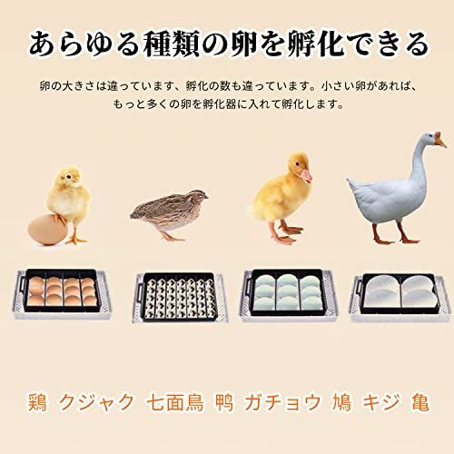 T､T?SUN インキュベーター 自動孵卵器 孵化器 自動転卵 12個入卵