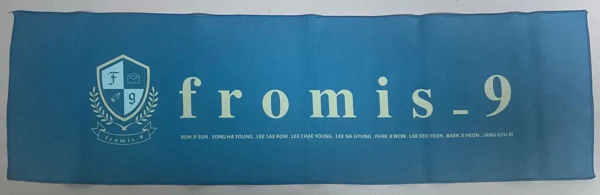 fromis_9 スローガン fromis_9(プロミスナイン・プミナ) 約束会 スローガン 出品