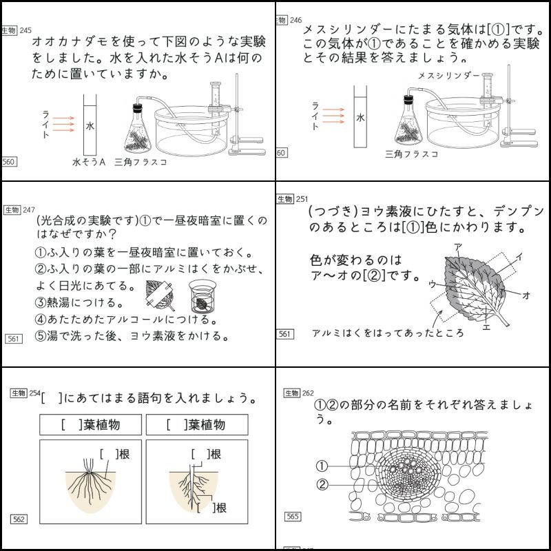 中学受験 暗記カード 理科 生物 サピックス 予習シリーズ コアプラス