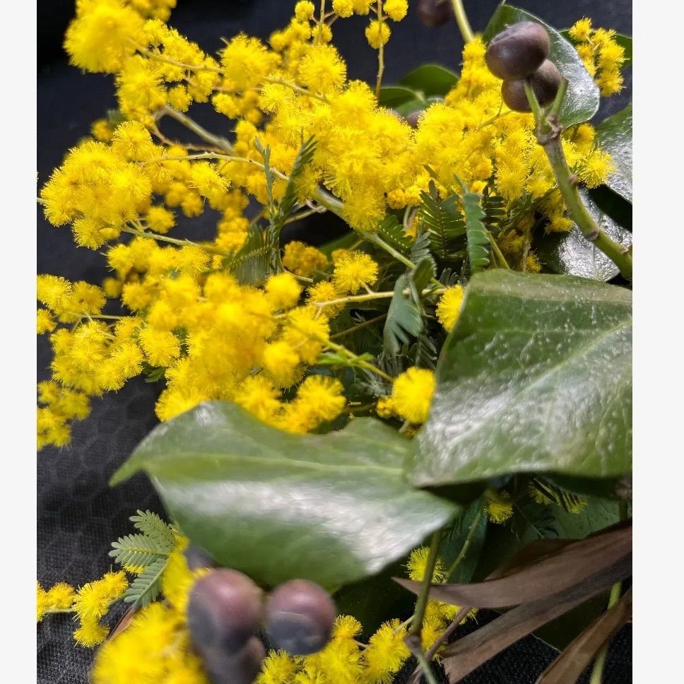 SOLD*フレッシュ ミモザ スワッグ*Spring swag ドライ フラワー ミニ SOLD*フレッシュ ミモザ スワッグ*Spring swag ドライ フラワー ミニ