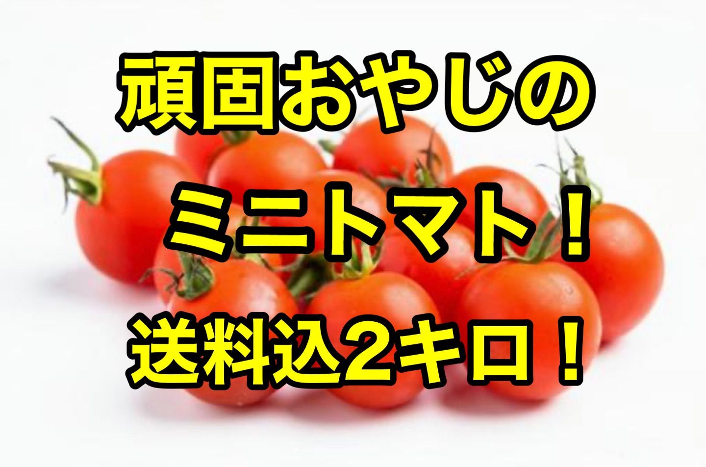 新しい季節 高知県 完熟 ハッピートマト 高糖度 ミニトマト 2kg 送料