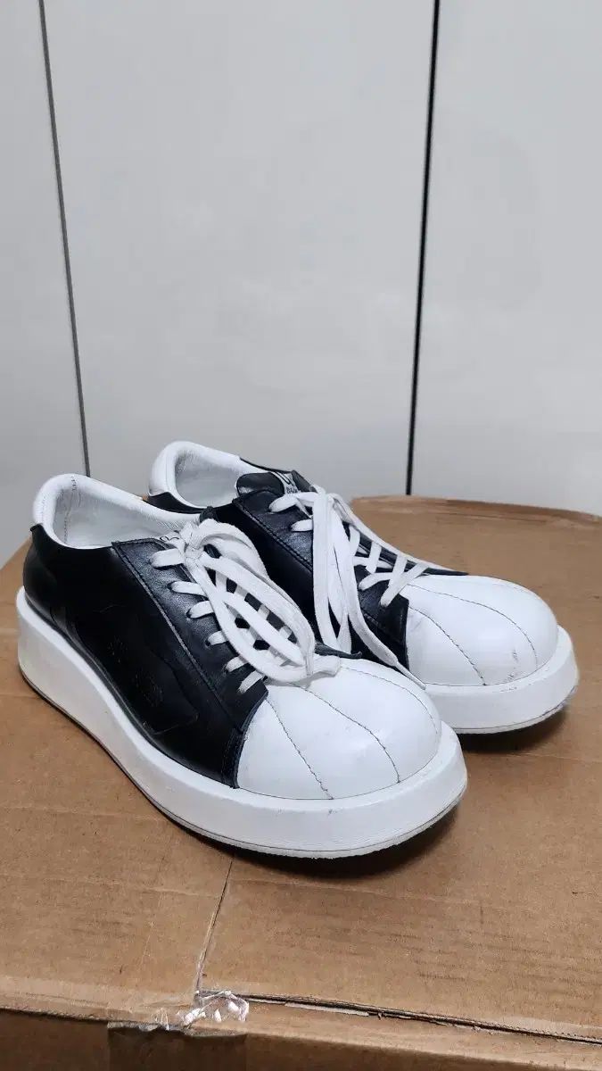 だから安泰だ 手術 ss005_B W 280