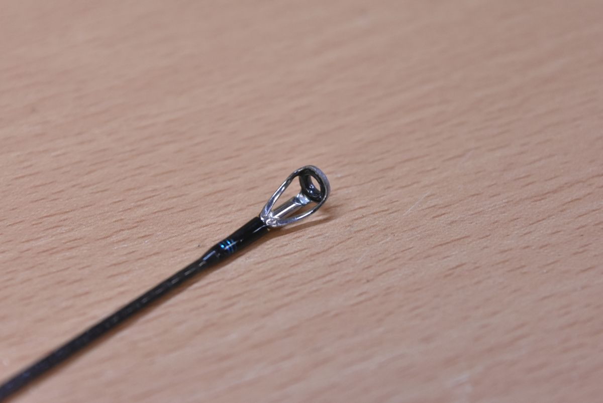 アオリイカ 釣り