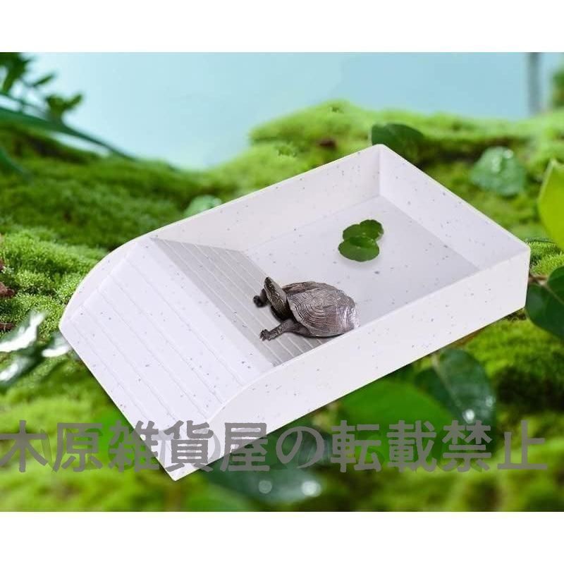 陸亀、爬虫類等飼育セット