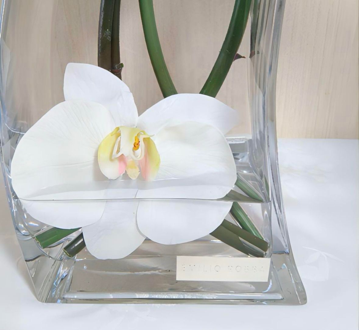 フェイクグリーン エミリオロバ