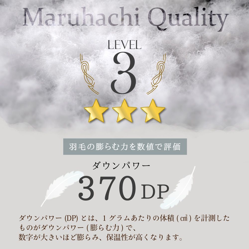 アイボリー 丸八