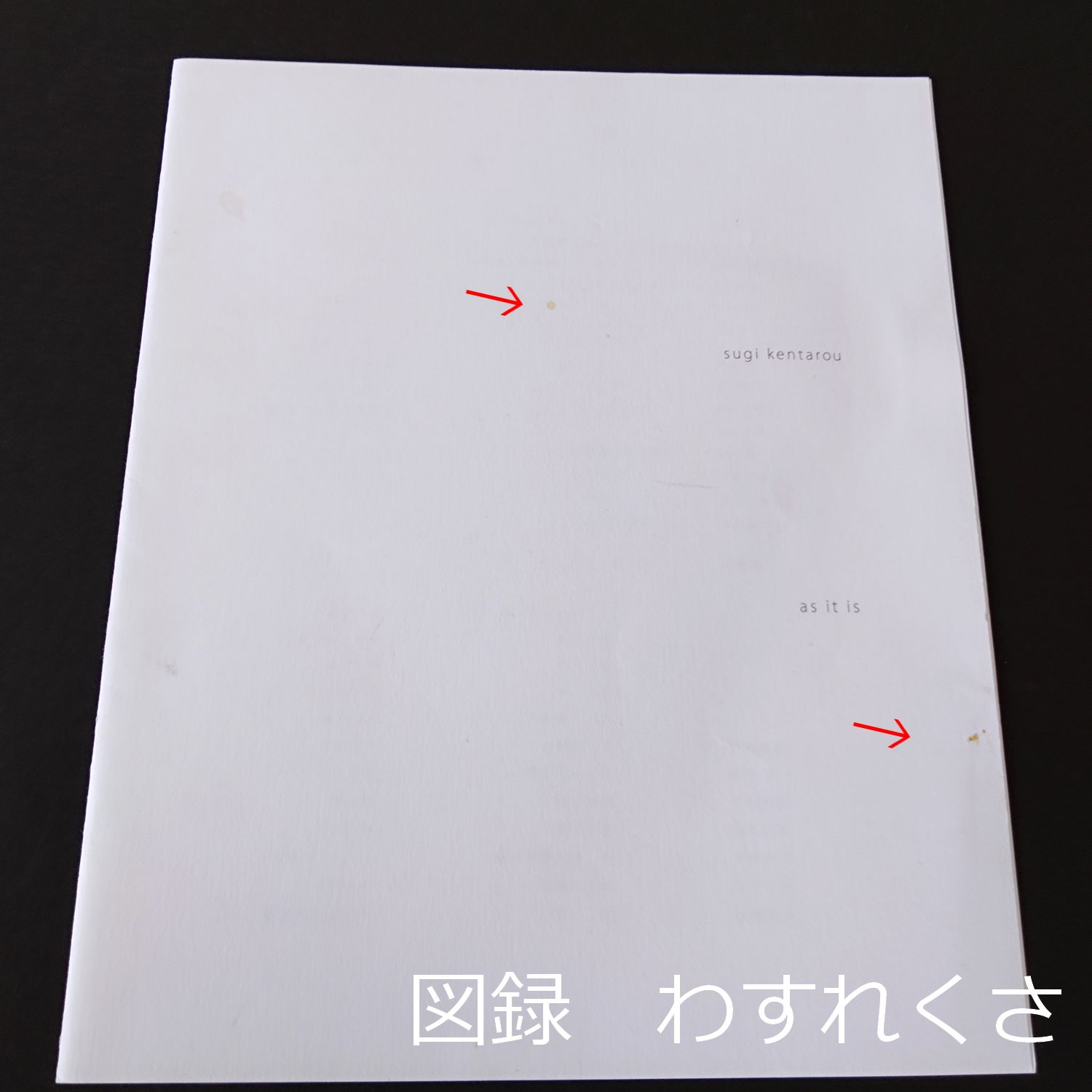 図録 わすれくさ 杉謙太郎 2013年 as it is 花会 0188 - メルカリ