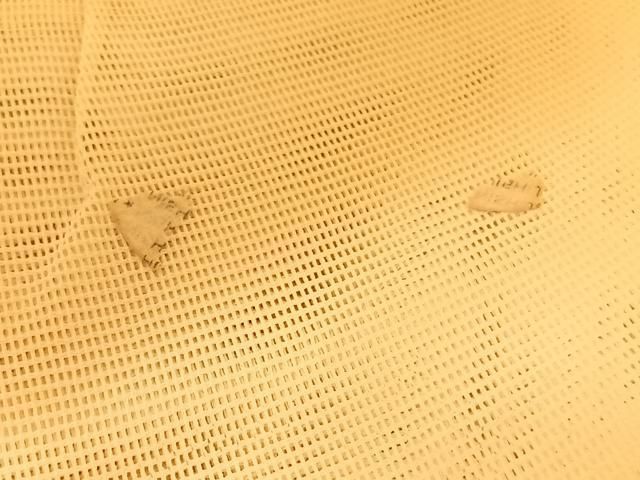 平和屋着物＊夏物 西陣 六通柄袋帯 草花文 銀糸 正絹 逸品 BAAV5367hv