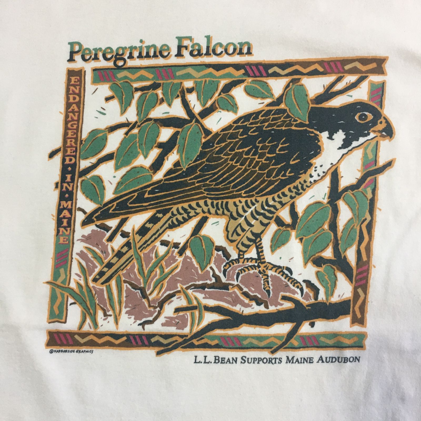 USA製 ナショナルパークサービス シャツ パタゴニア REI エルエルビーン 激レア 90s L.L.BEAN クライミングTシャツ パタゴニア