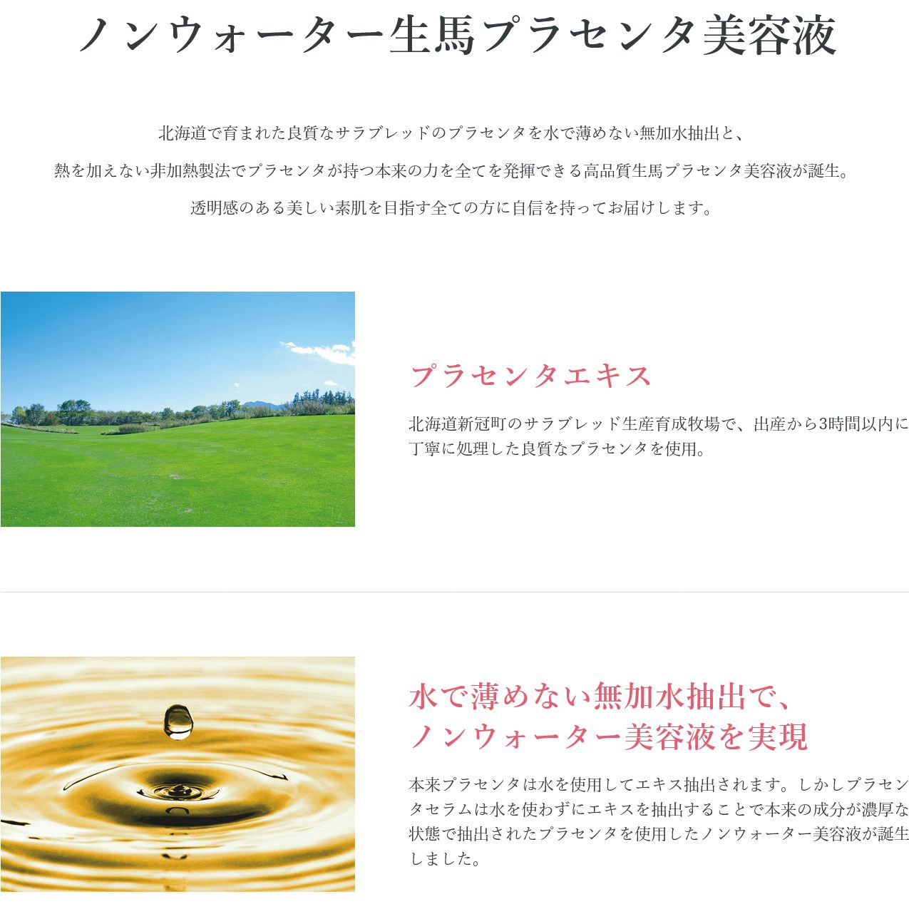 WMT MTプラセンタセラム ホースPLセラム&ミスト