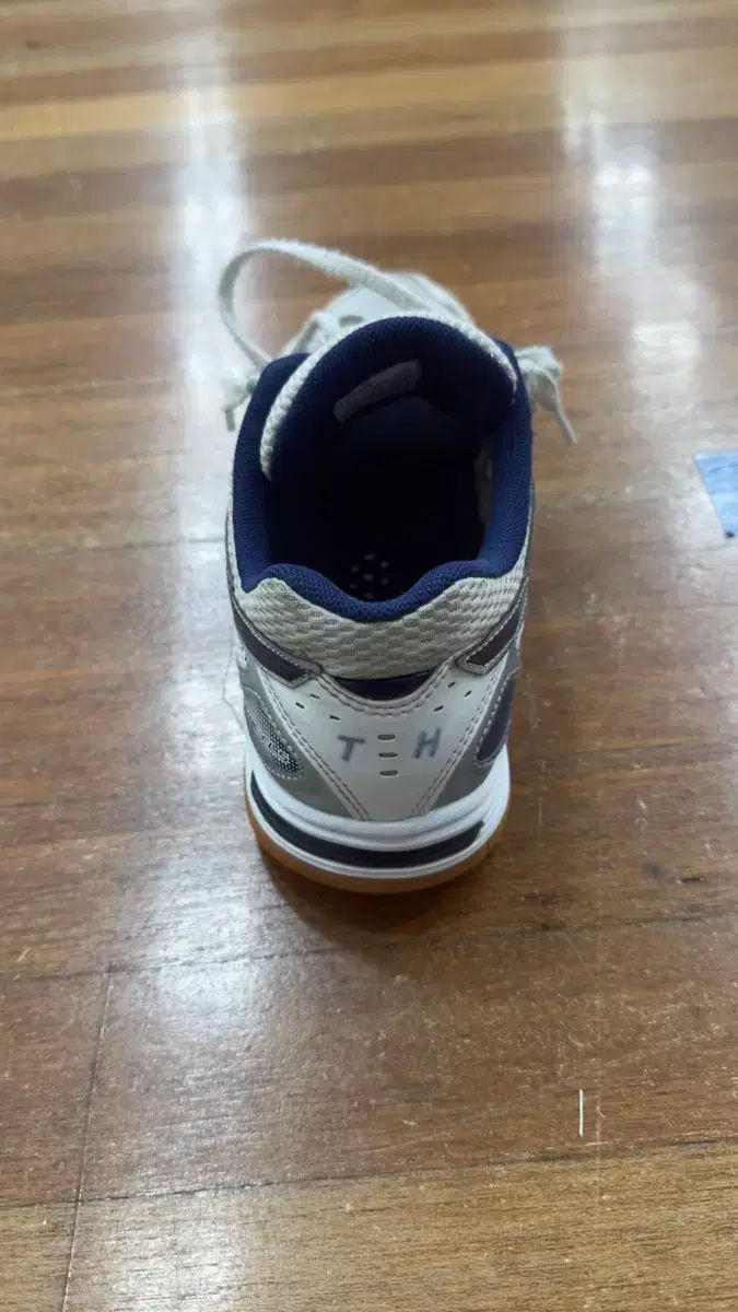 バドミントン等