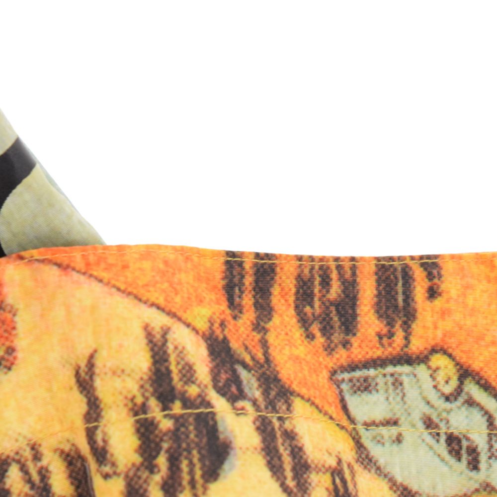 SUPREME (シュプリーム) 08SS×THE NORTH FACE 2nd Mountain