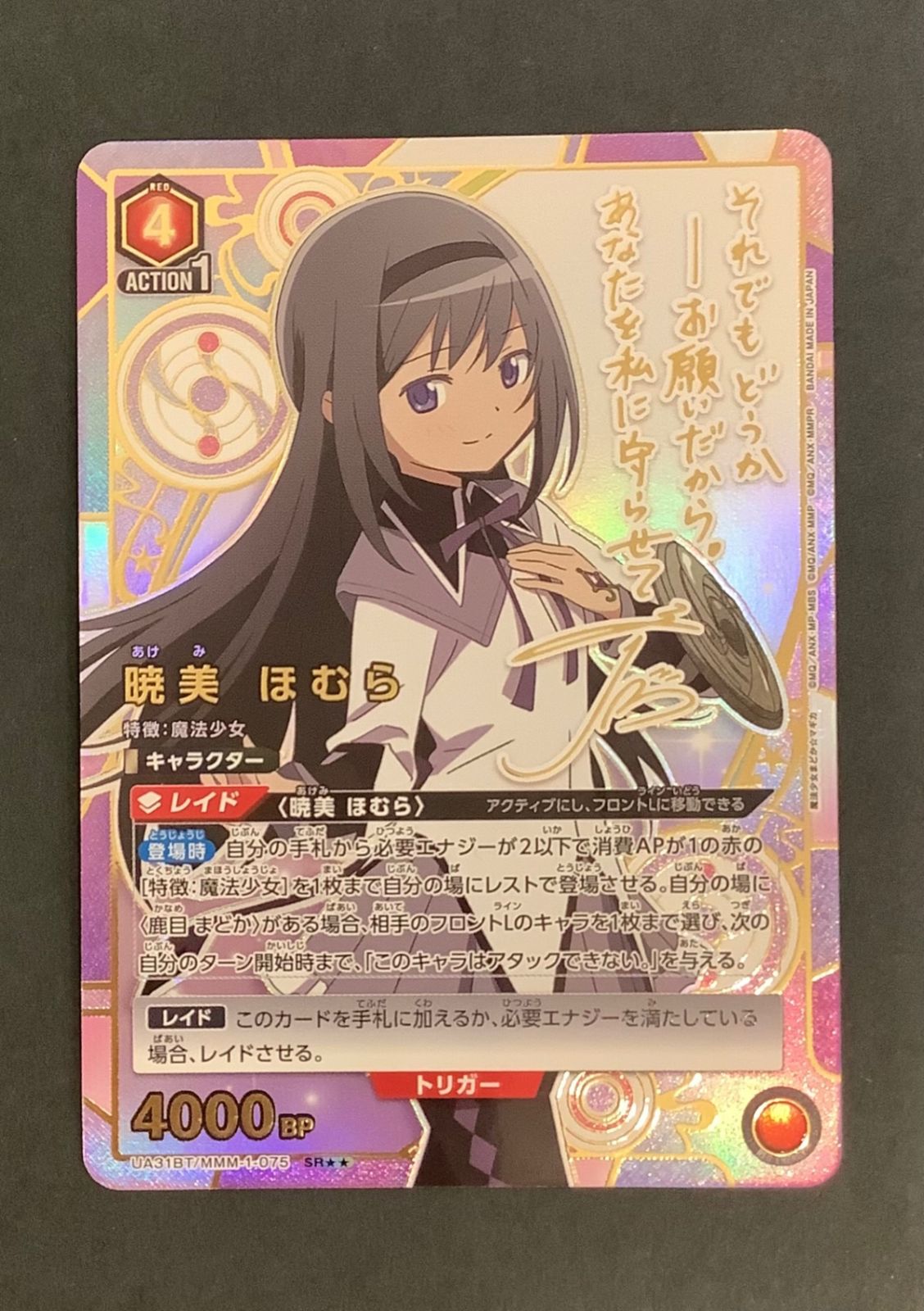 SHOW-WA 向山毅 トレカ ホログラム レアカード カード ホログラム