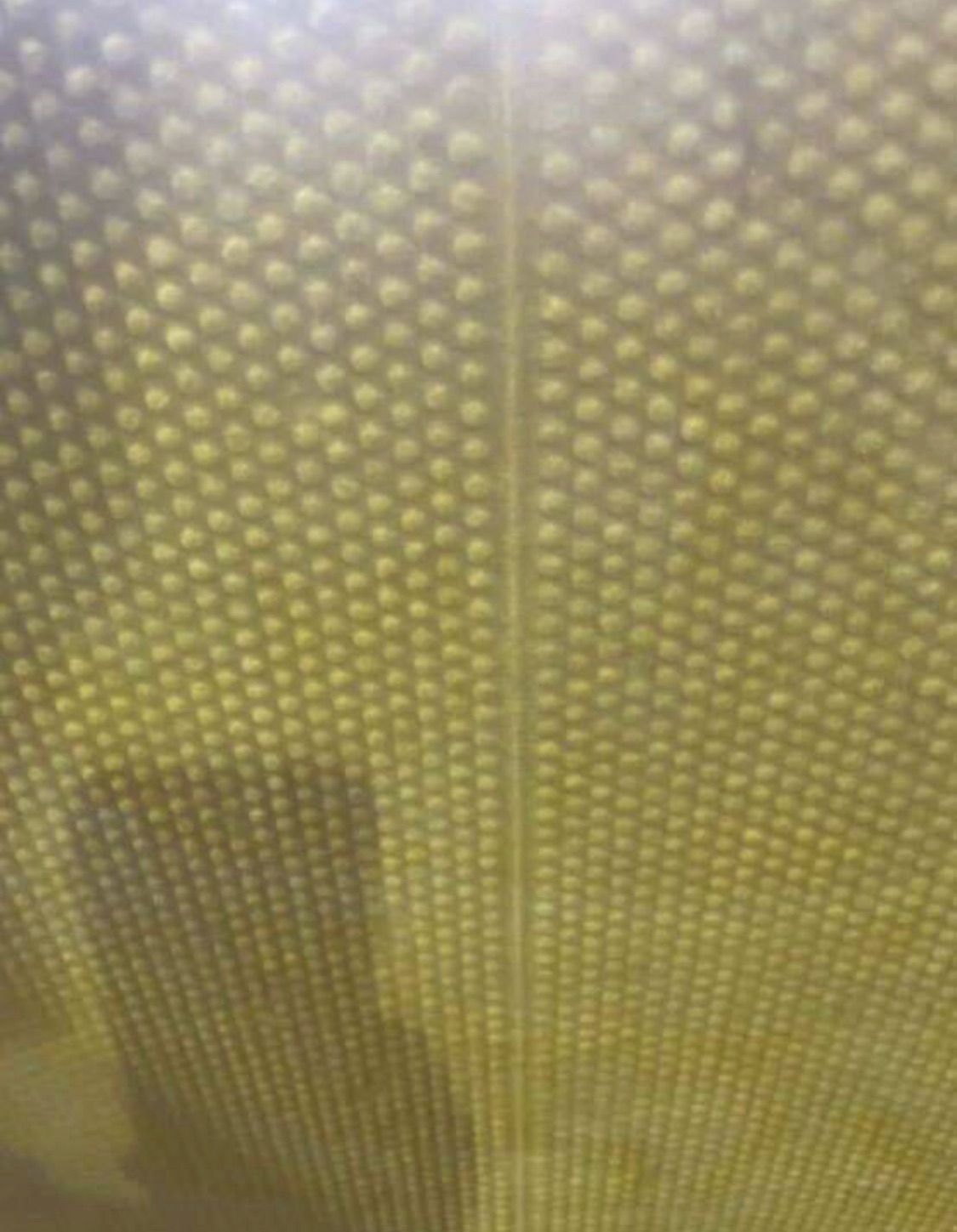 高気密断熱材防音材吸音材高密度遮音リフォーム修繕修理グラスウールファイバー