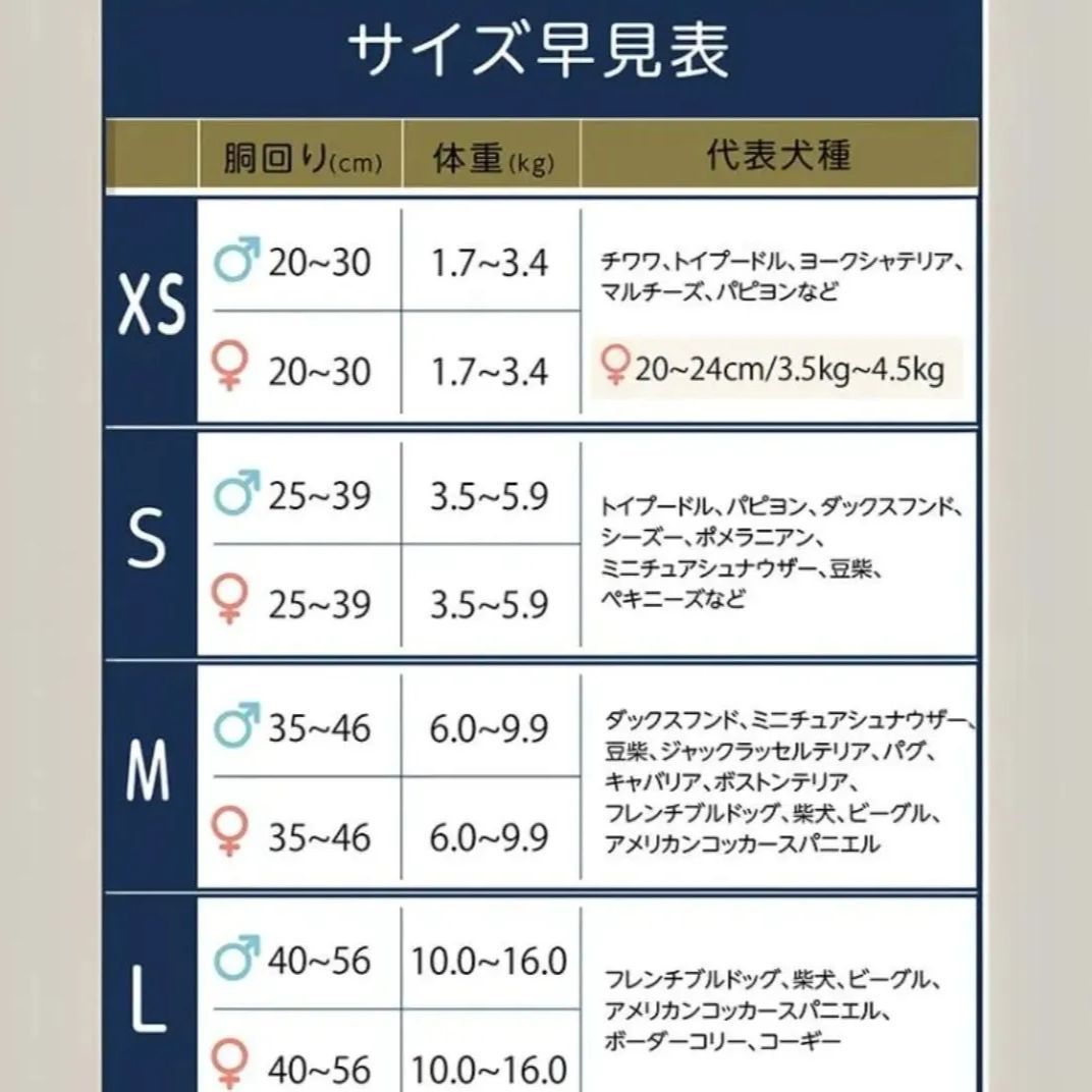 うんコロキャッチ シニア用 オムツ 介護用 うんち キャッチ 長時間