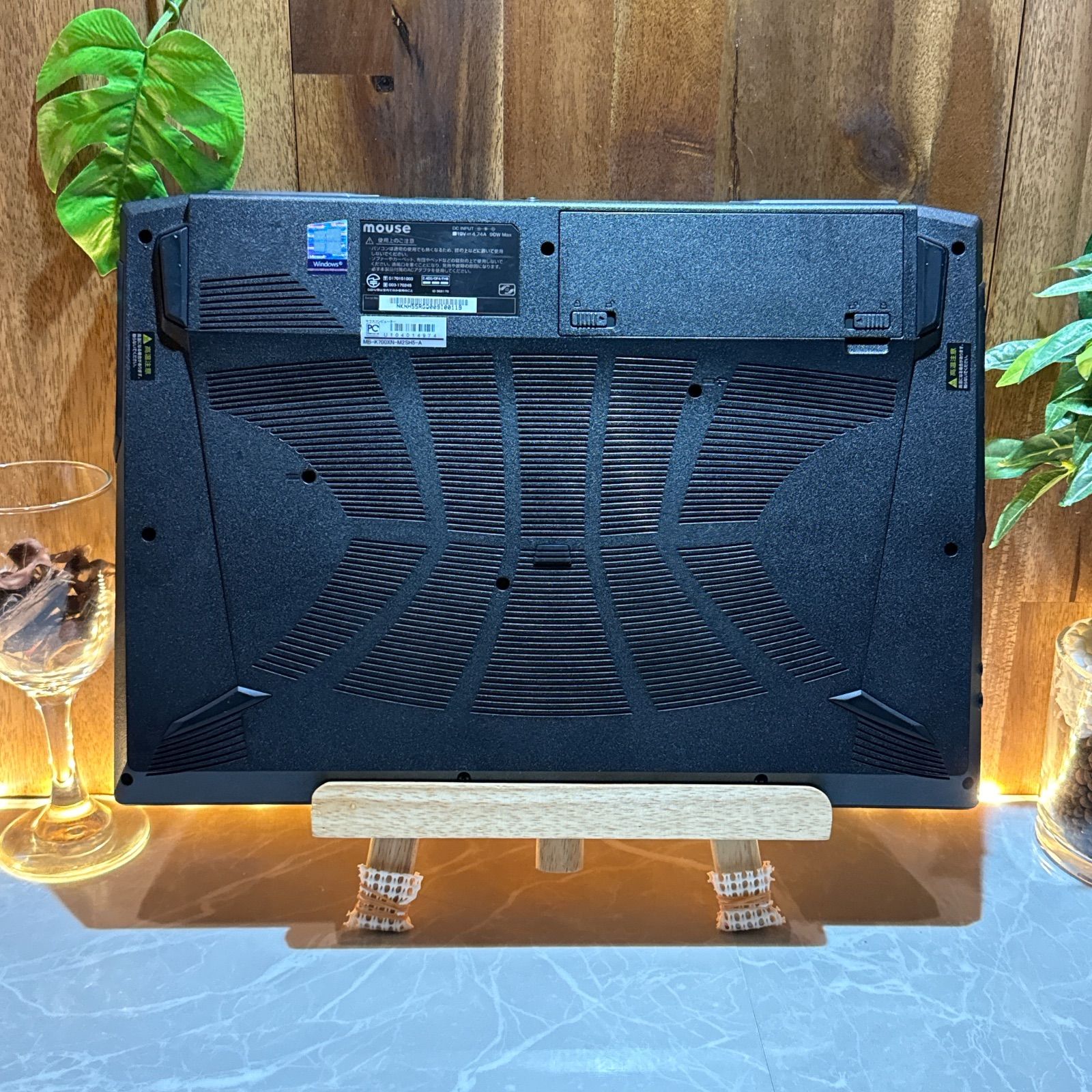 2 サイカス コッツシアーナ オーストラリア産ゴールド ブルー葉 赤肌 2