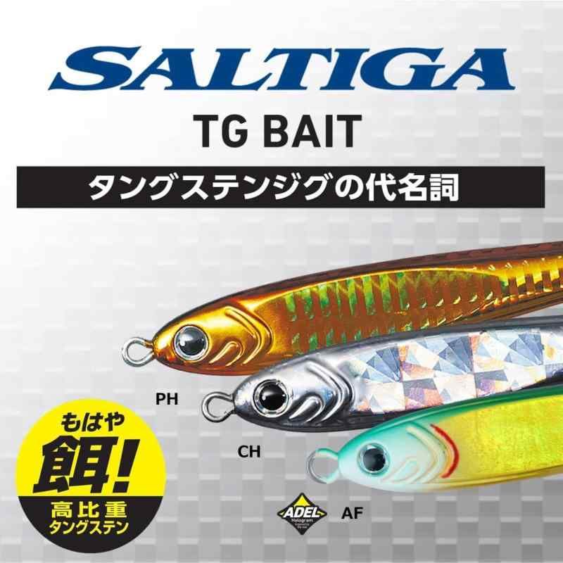 ダイワ(DAIWA) タングステンジグ ソルティガ TGベイト
