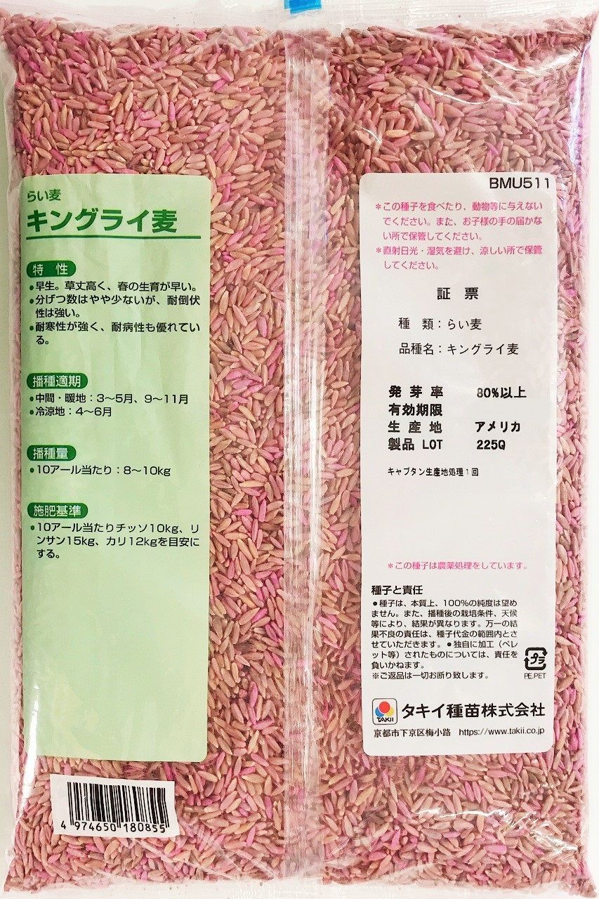 種 ライ麦