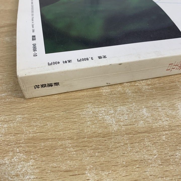 新建築 1984 村野藤吾 別冊 新建築 1984年 日本現代建築家シリーズ9 村野藤吾 - ノース
